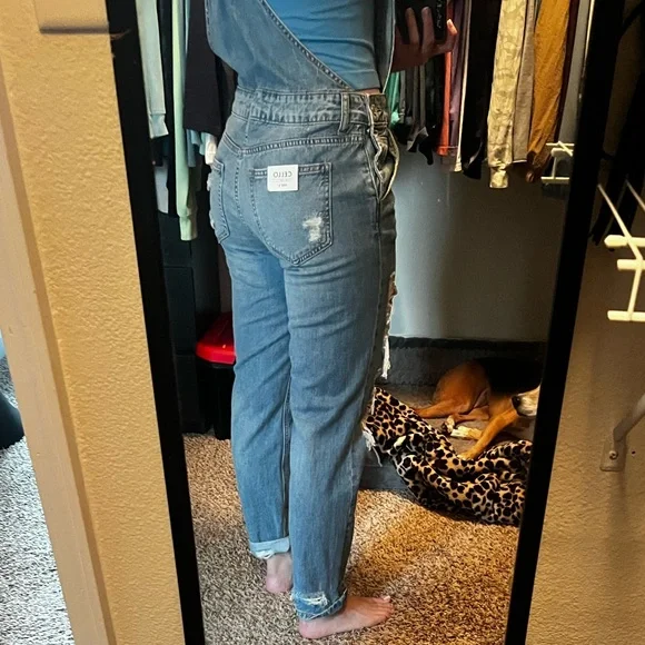 CELLO Distressed Denim Overalls - Picture 8 of 8